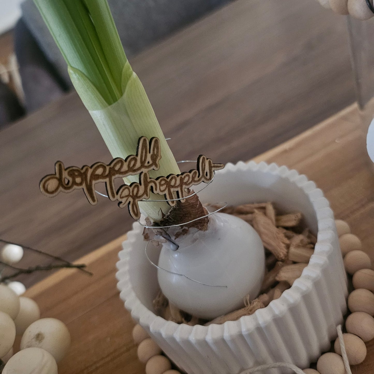 Hasen, Osterdatei, Ostern, Laserdatei Hase mit Brille, Set mit PNG, SVG, lasern, sublimieren und mehr