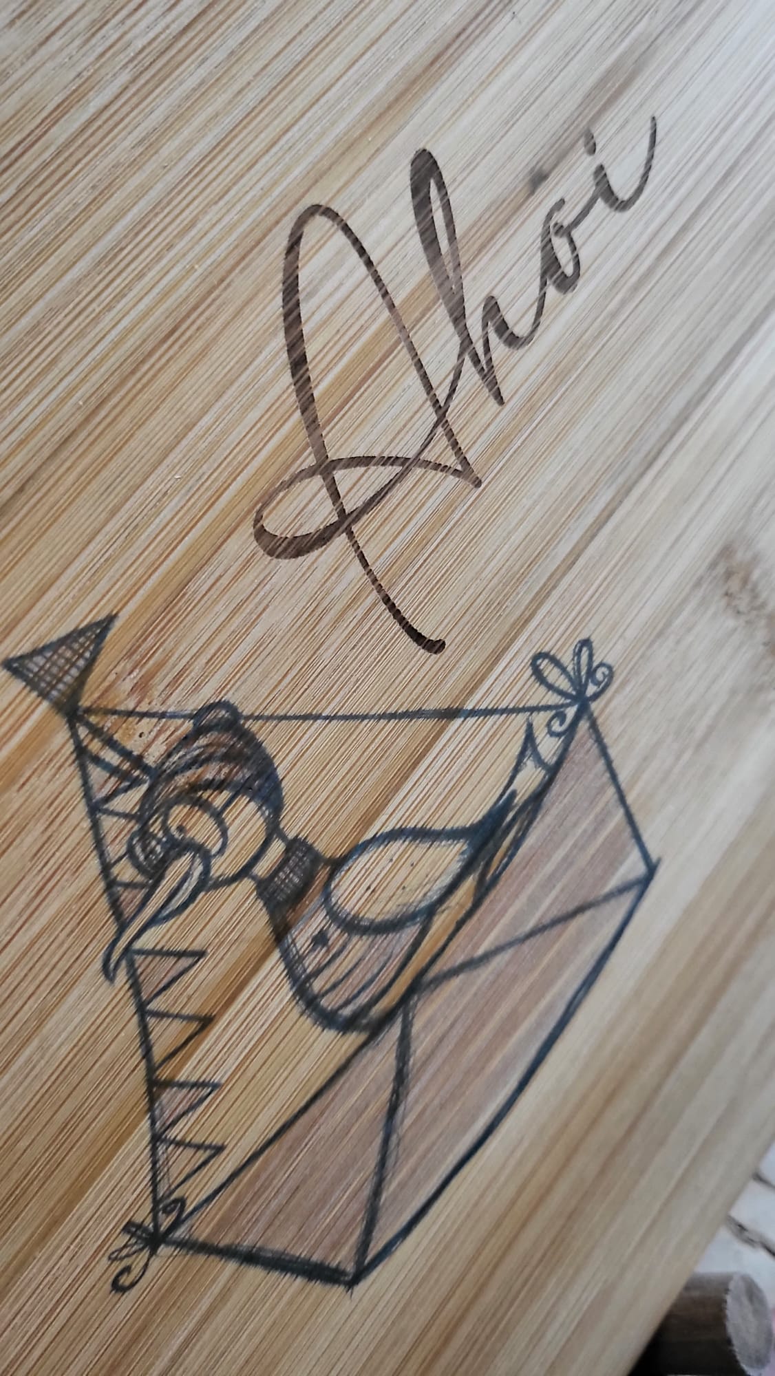 Mützenmöwe, Möwe, digitale Datei, Laserdatei, Sublimation, png, jpg, digistamp, print and cut und mehr