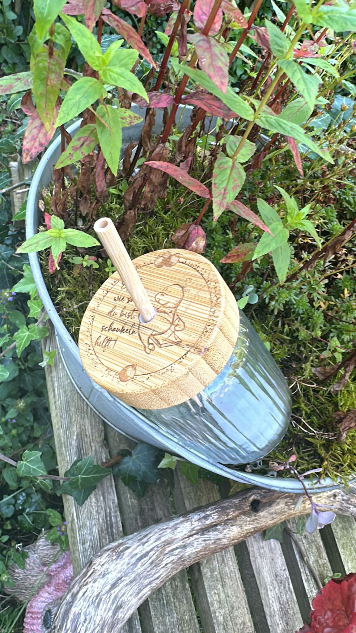 Schaukelrobbe, Sommerrobbe, Laserdatei Robben, Set, Robben. Zitrone, PNG, JPG, print and cut, sublimieren, lasern, drucken, digitale Datei, nicht nur für den Sommer